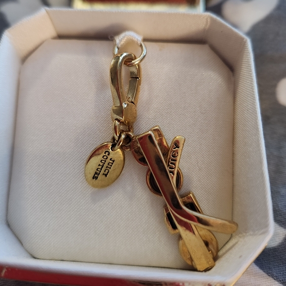 Limited Edition 2013 glasses charm - Picture 2 of 6